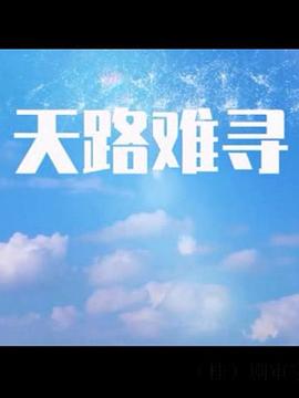 电影：天路难寻