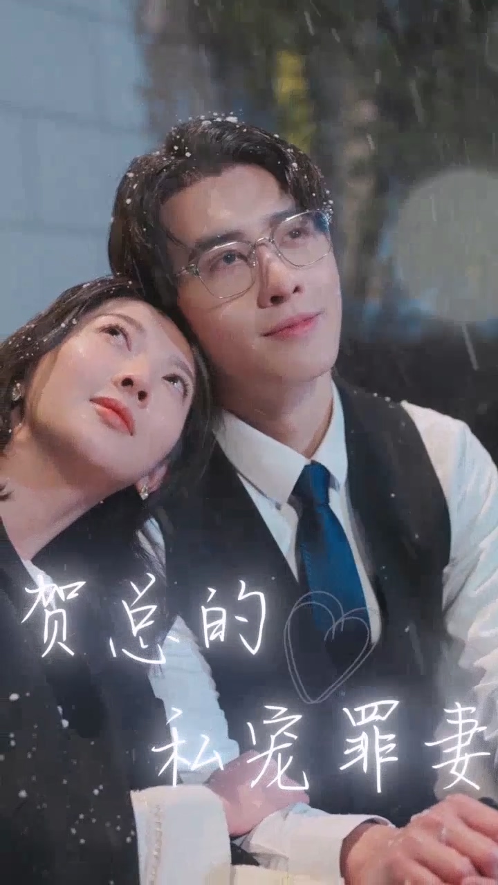 电影：贺总的私宠罪妻