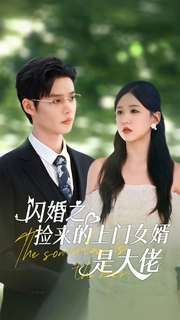 电影：闪婚之捡来的上门女婿是大佬