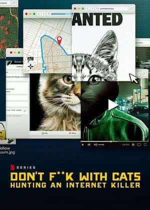 电影：别惹猫咪：追捕虐猫者