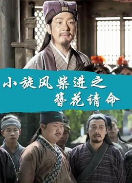 电影：小旋风柴进之簪花请命