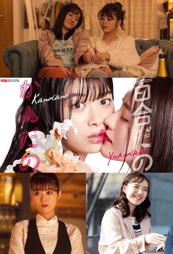 电影：百合与直觉