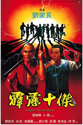 电影：霹雳十杰国语