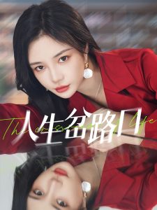 电影：人生岔路口