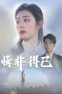 电影：情非得已