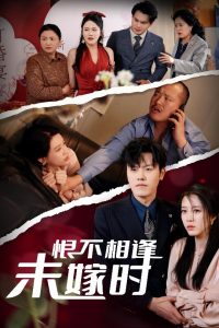 电影：恨不相逢未嫁时30集