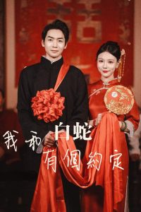 电影：我和白蛇有个约定