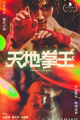 电影：天地拳王粤语