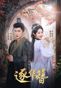 电影：逐华簪