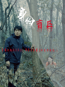 电影：身份盲区