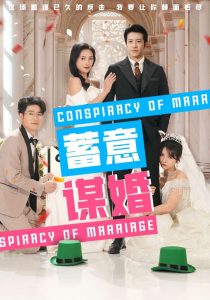 电影：蓄意谋婚