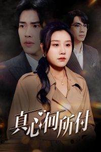 电影：真心何所付