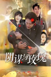 电影：阴谋与玫瑰