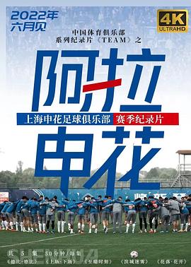 电影：阿拉申花