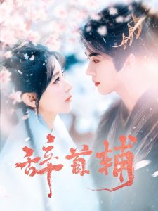 电影：辞首辅