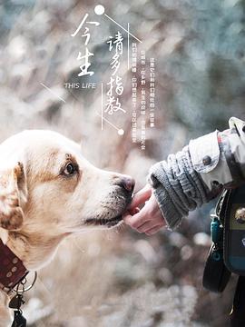 电影：今生，请多指教第三季