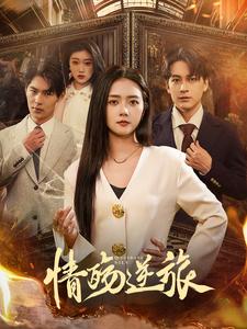 电影：情殇逆旅
