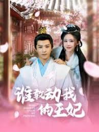 电影：谁敢动我的王妃