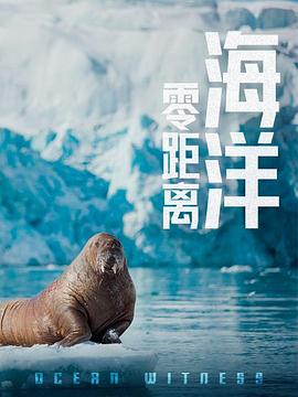 电影:海洋零距离