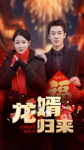 电影：龙婿归来