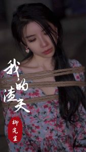 电影：我的渣夫柳先生