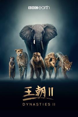 电影：王朝第二季