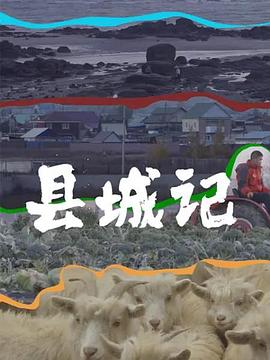电影：县城记