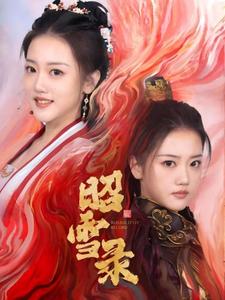 电影：昭雪录
