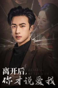 电影：离开后你才说爱我