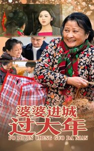 电影：婆婆进城过大年