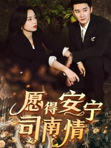 电影：愿得安宁司南情