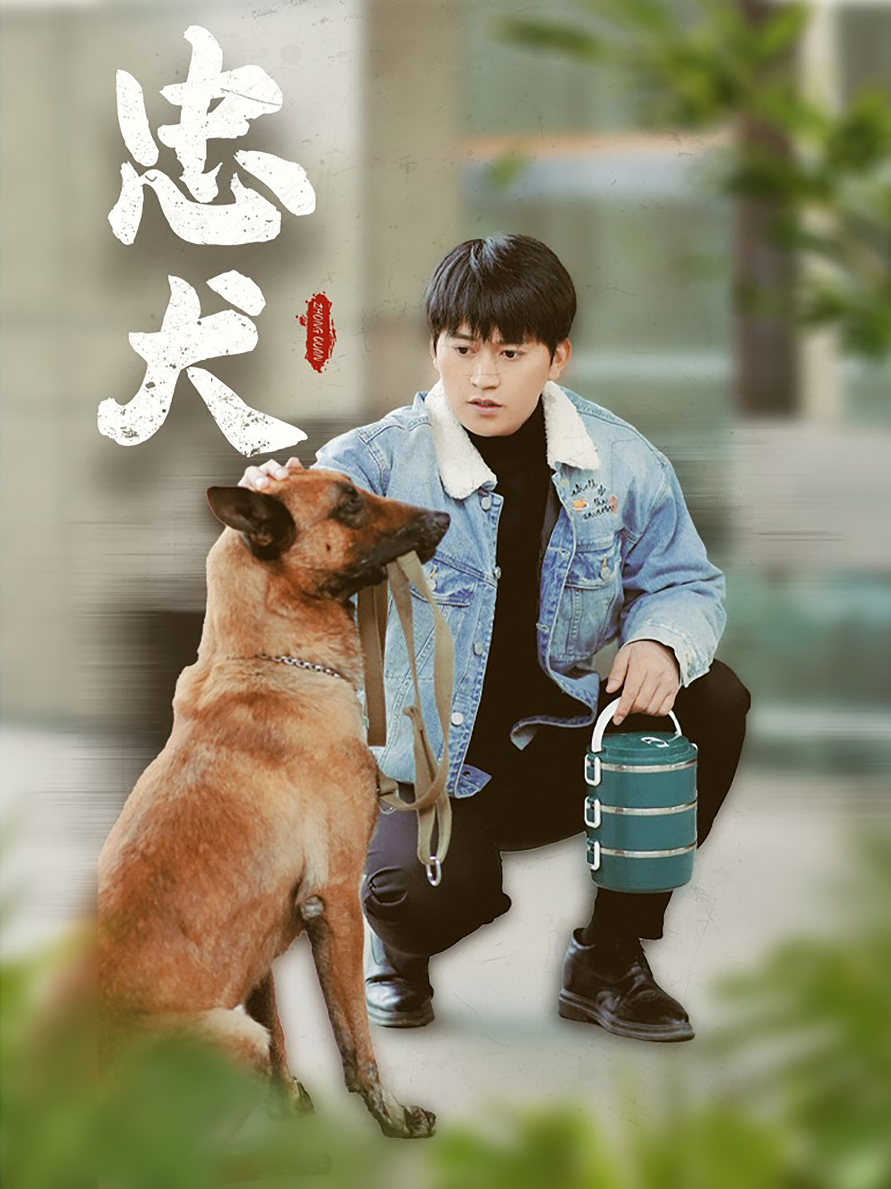 电影：忠犬短剧