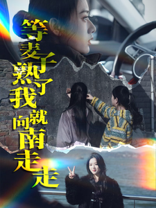 电影：等麦子熟了我就向南走走