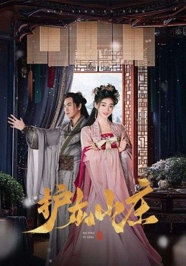 电影：护龙山庄
