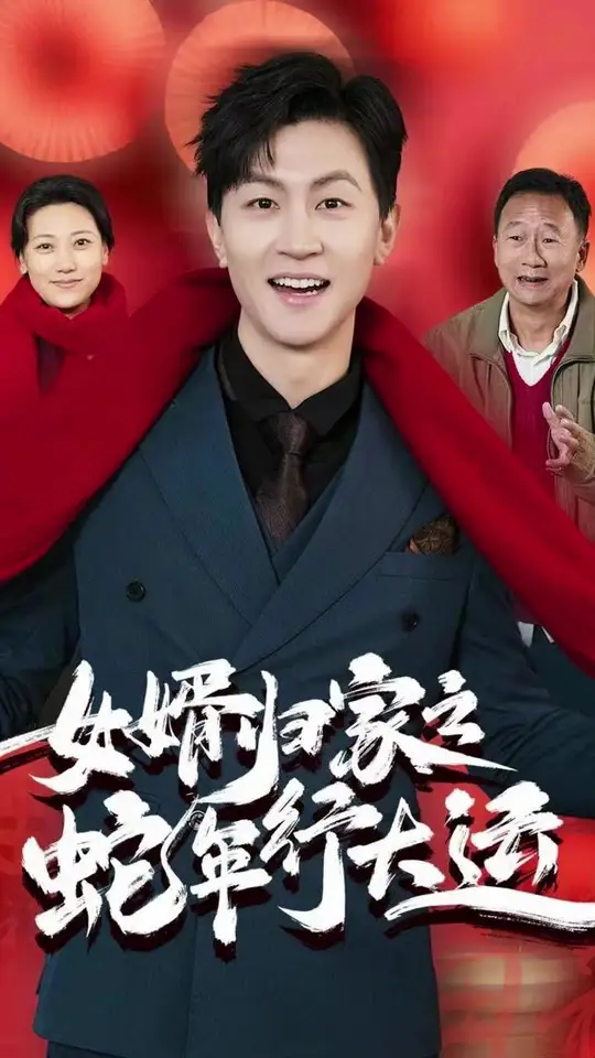 电影：女婿归家之蛇年行大运