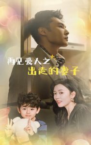 电影：再见爱人之出走的妻子