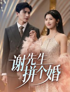 电影：谢先生拼个婚
