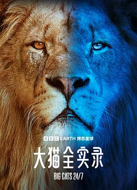 电影：大猫全实录