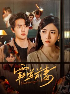 电影：霸道前妻