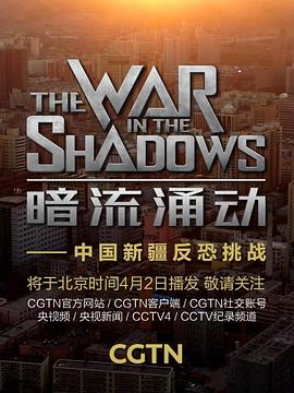 电影：暗流涌动——中国新疆反恐挑战