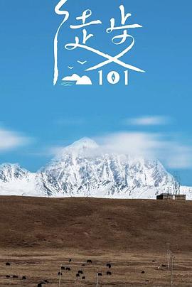 电影：徒步101