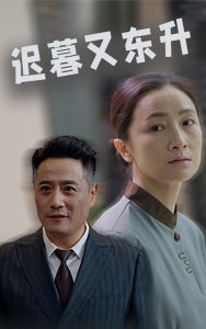 电影：迟暮又东升