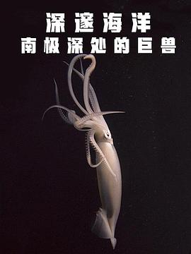 电影：深邃海洋：南极深处的巨兽