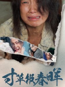 电影：寸草报春晖