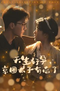 电影：天生好孕京圈太子有后了
