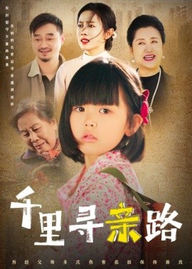 电影：千里寻亲路