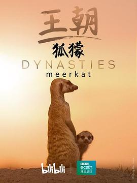 电影：王朝：狐獴特辑