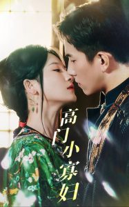 电影：高门小寡妇