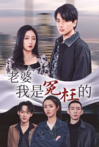 电影：老婆我是冤枉的