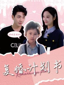 电影：复婚计划书